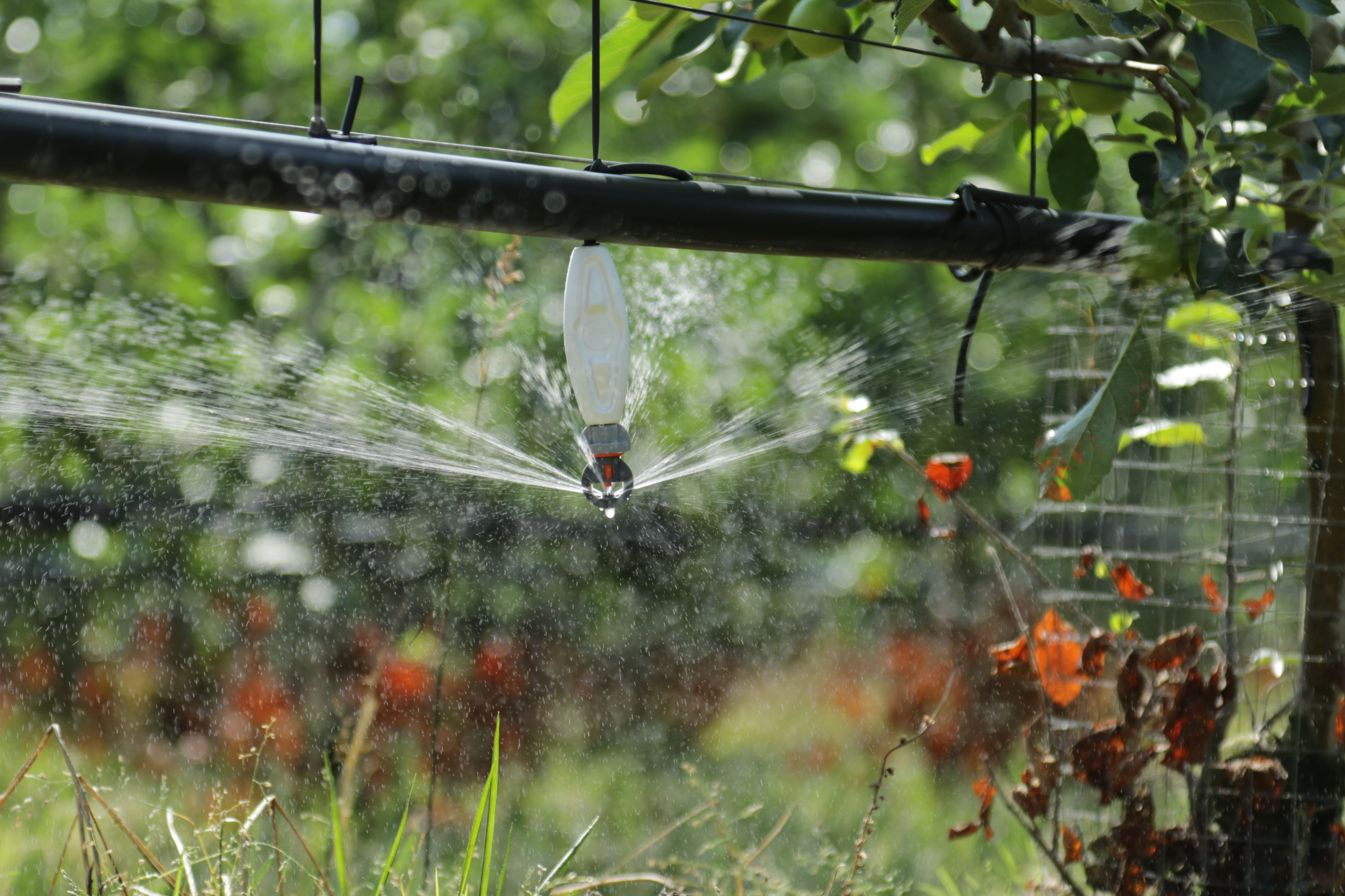 Gotejamento e Microaspersão